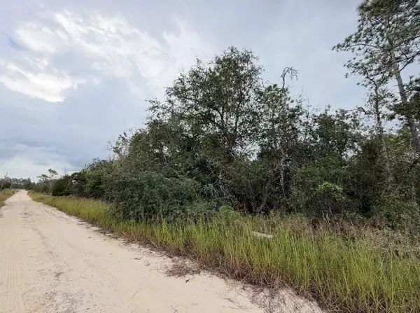 NE 66th Lane, WILLISTON, FL 32696