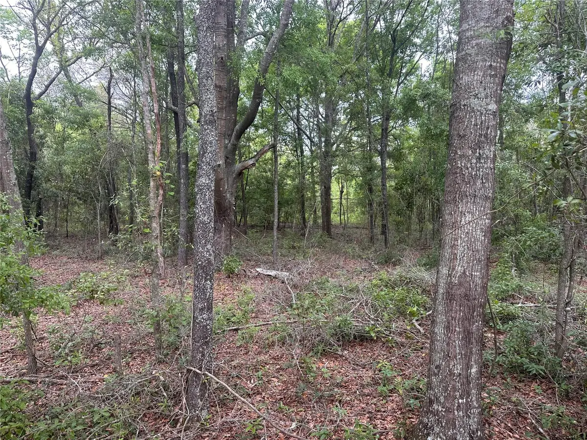 Address Withheld By Seller, Frostproof, FL 33843 - #1