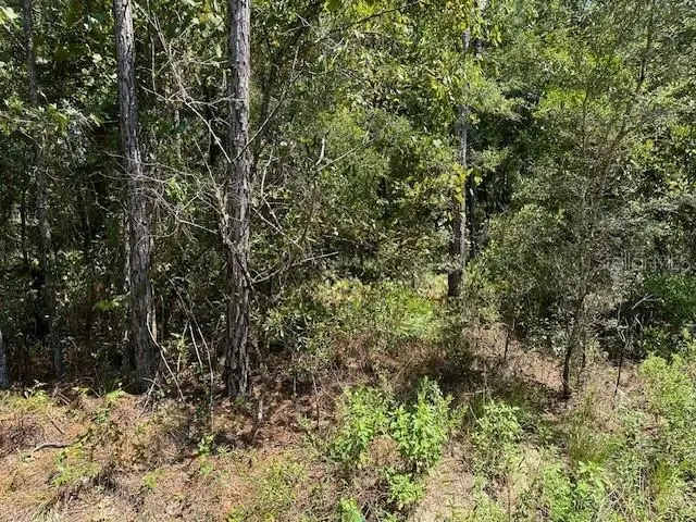 #2