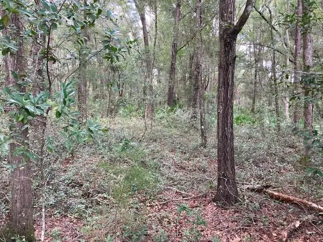 #3