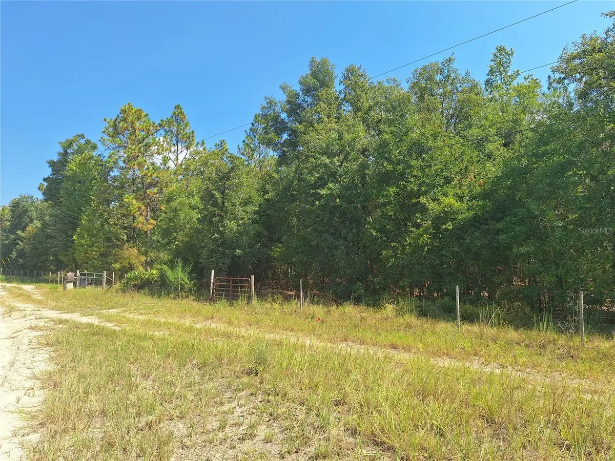 Lot 9 NW 73rd Way, Bell, FL 32619 - Image #1