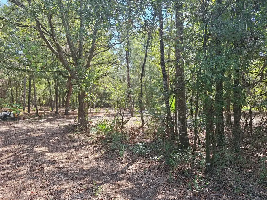 Lot 9 NW 73rd Way, Bell, FL 32619 - Image #2