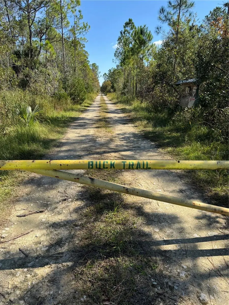 TBD Quail Road, Cedar Key, FL 32625 - Image #2