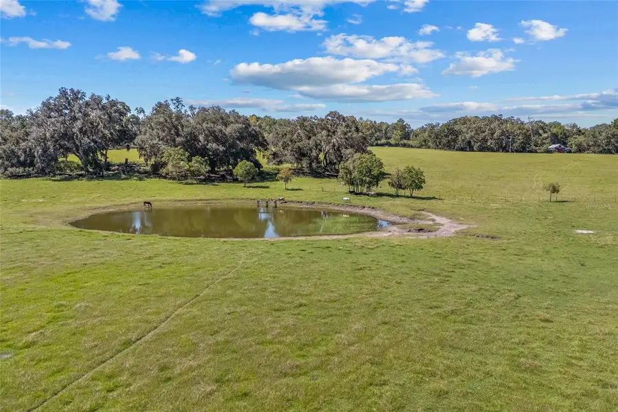 960 SW Bethlehem Avenue, Fort White, FL 32038 - Image #3