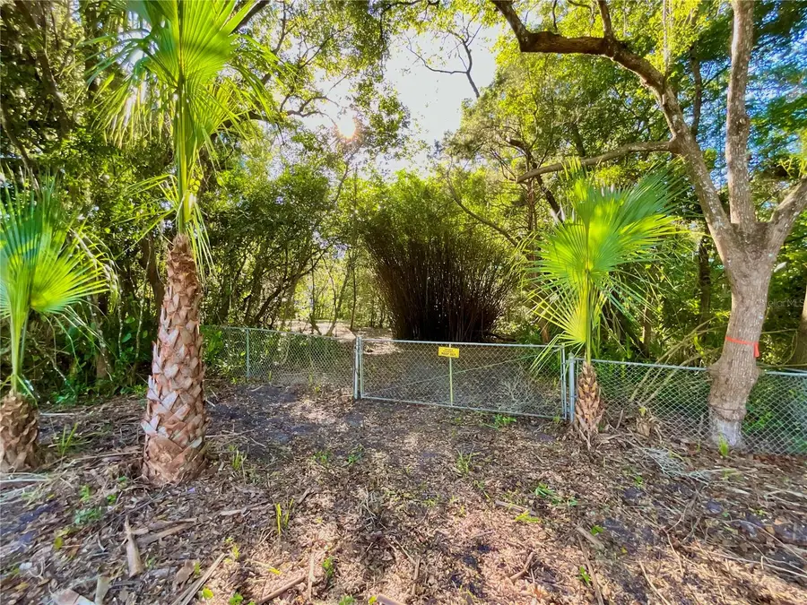 Trout Street, Melrose, FL 32666 - Image #3