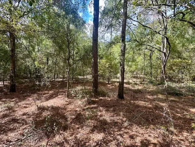 NW 13th Terrace, Bell, FL 32619 - Image #1