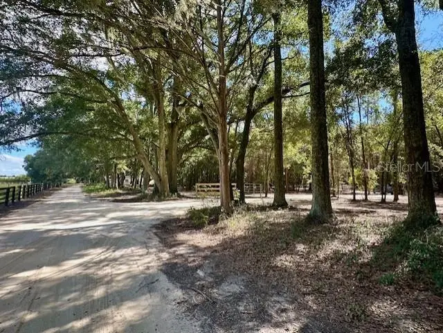 SW 20th Street, Bell, FL 32619 - Image #2