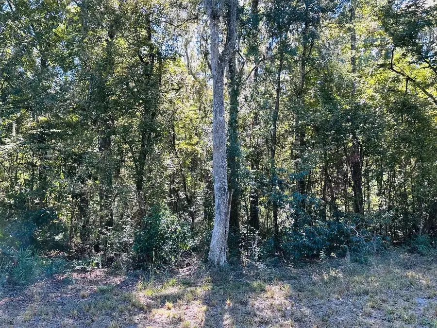 0 NW 86 Street, Chiefland, FL 32626 - Image #3