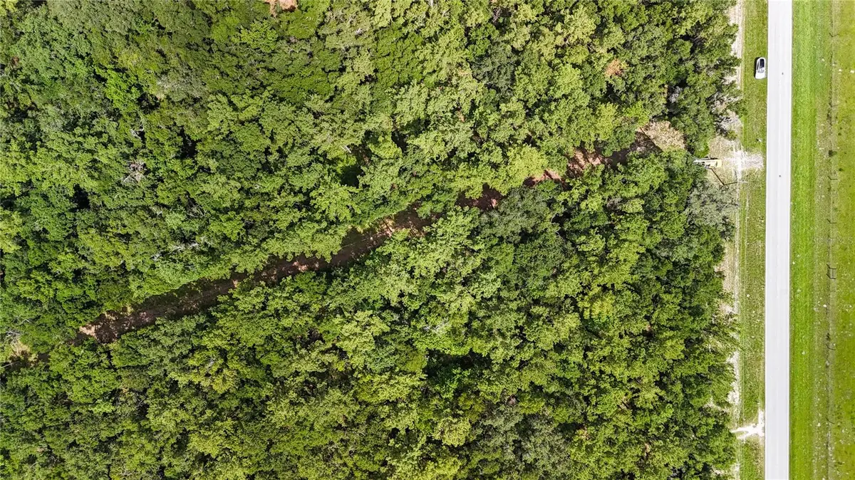 7906 SW County Road 346, Archer, FL 32618 - Image #1