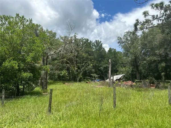 380 NE 157th Avenue, WILLISTON, FL 32696