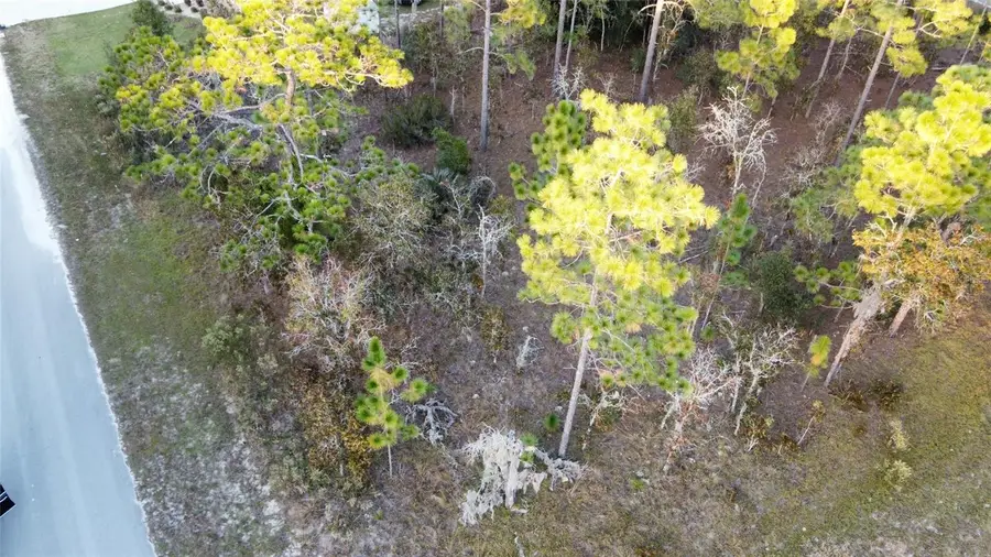 00 NE 9th Street, Williston, FL 32696 - Image #3