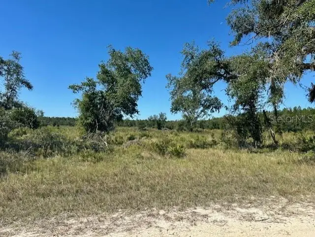 NE 35th Ave, Bronson, FL 32621 - Image #2