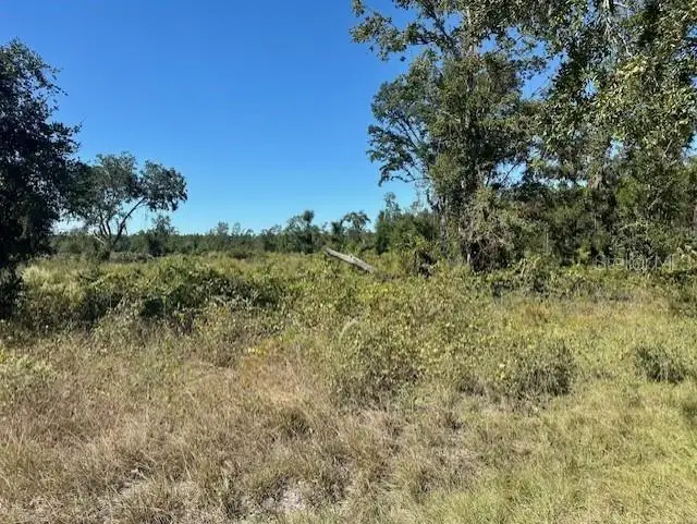 NE 35th Ave, Bronson, FL 32621 - Image #3