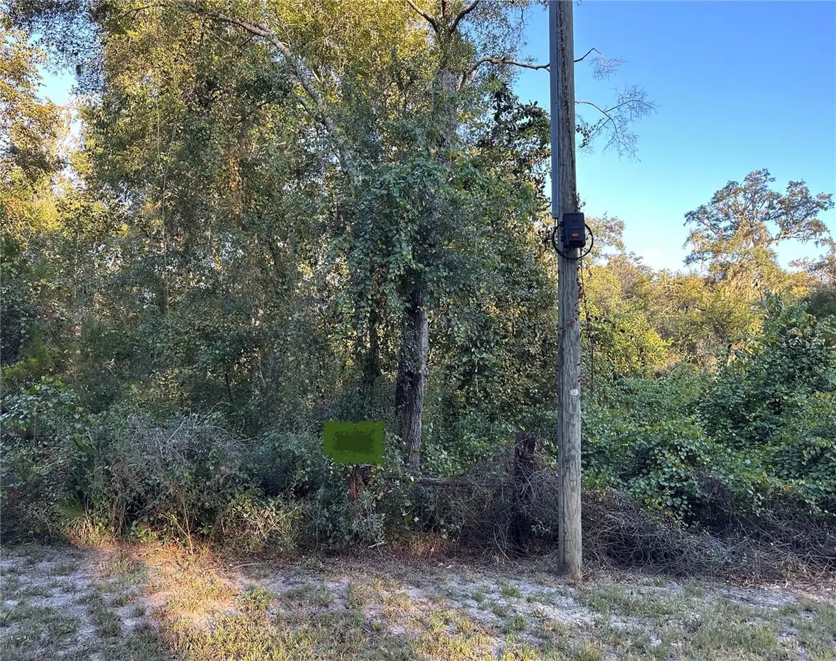 OOO SE 923rd Street, Old Town, FL 32680 - Image #1