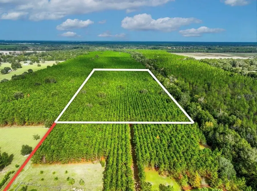 000 NW 78th Avenue, Newberry, FL 32669 - Image #3