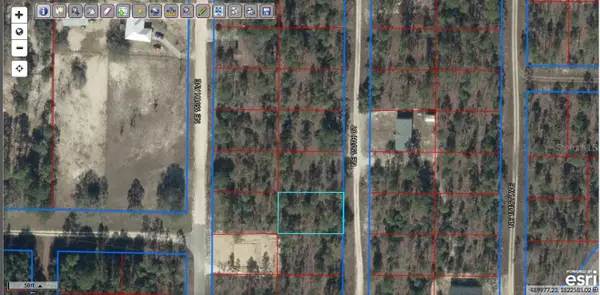 TBD NE 150th Court, WILLISTON, FL 32696