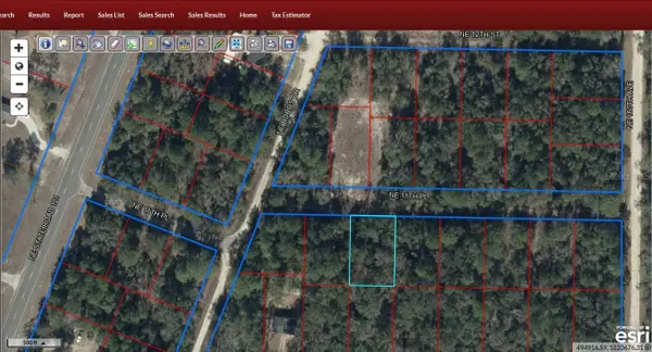 TBD NE 11th Place, WILLISTON, FL 32696