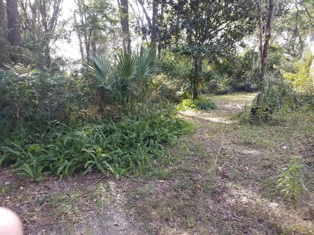 3 NE 5 Street, Chiefland, FL 32626 - Image #1