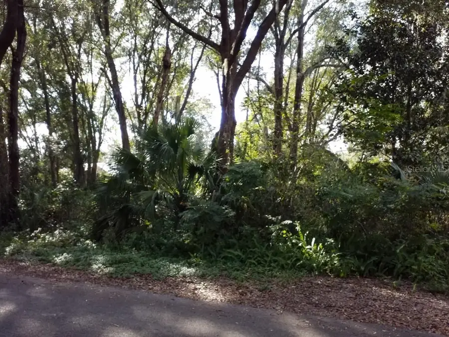 3 NE 5 Street, Chiefland, FL 32626 - Image #3