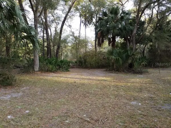 Address Withheld By Seller, CHIEFLAND, FL 32626