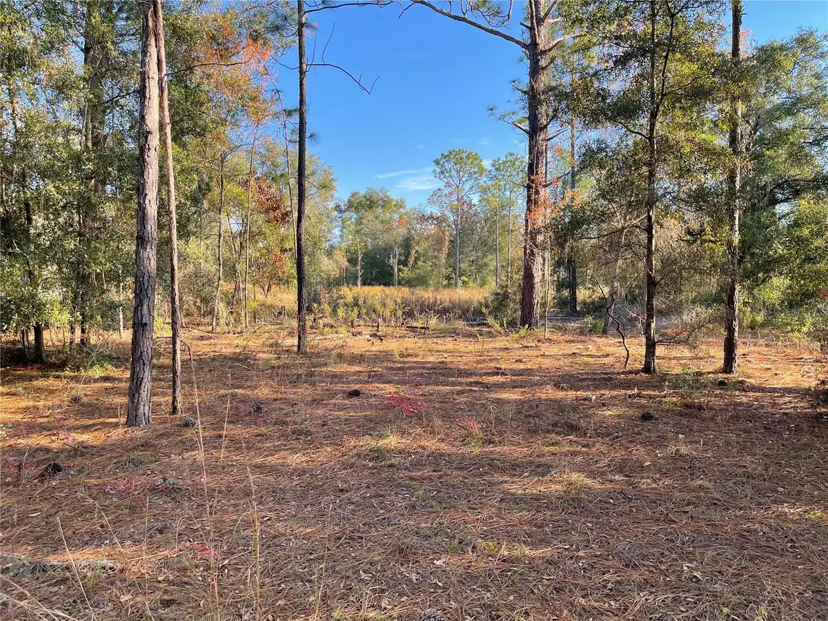 9650 NE 80th Street, Bronson, FL 32621 - Image #1