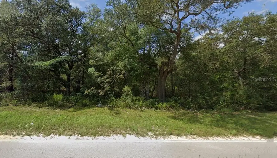 Lot 102 Ne 118th Terrace, Bronson, FL 32621 - Image #3