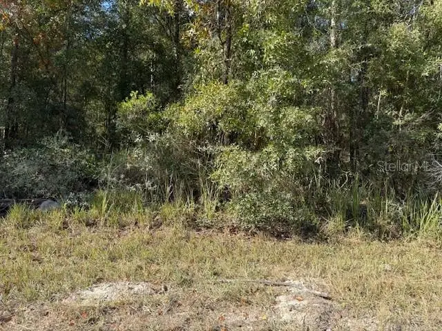 108th Avenue Ne, Bronson, FL 32621 - Image #3