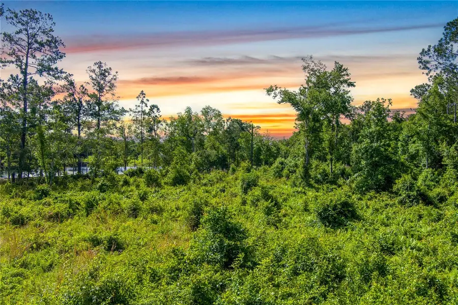 3201 E Raulerson Road, Saint Augustine, FL 32092 - Image #2