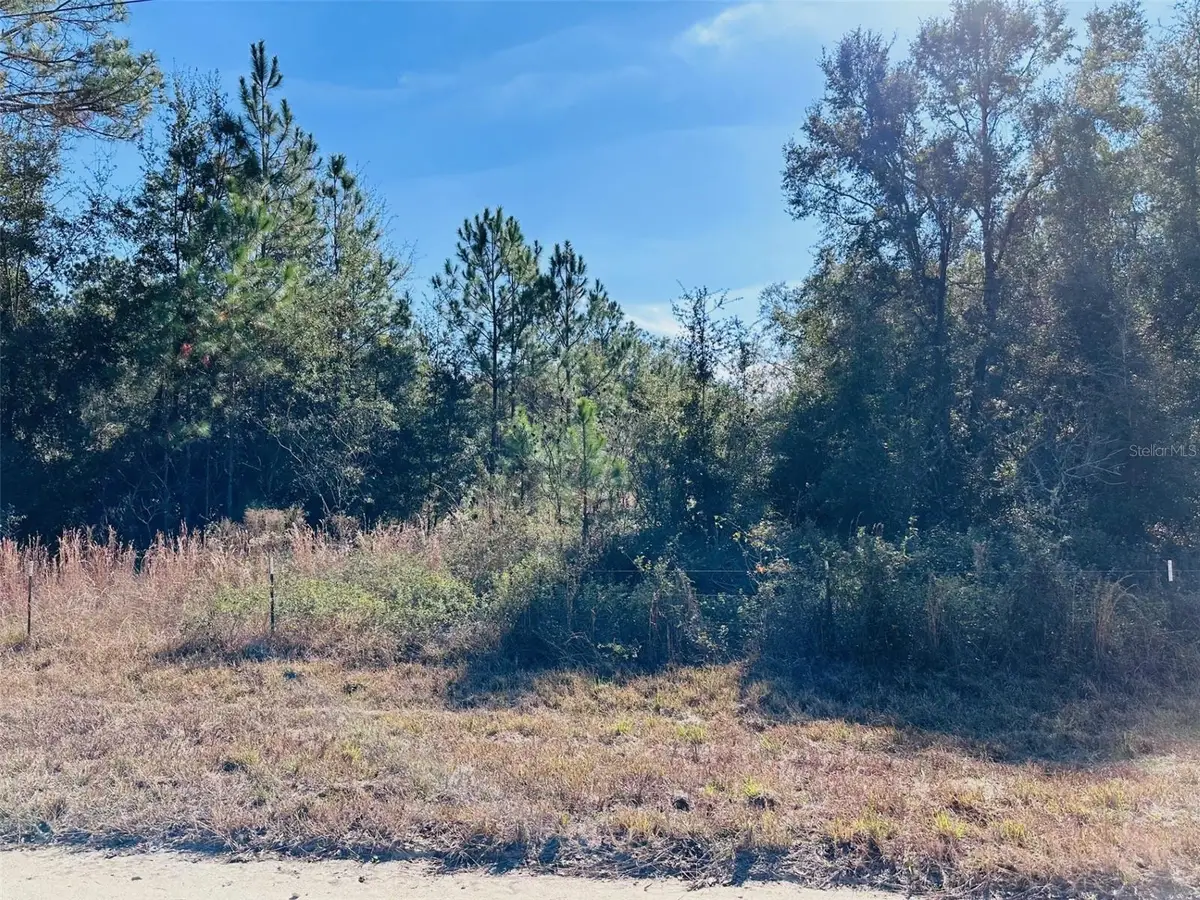 0 NW 126 Street, Chiefland, FL 32626 - Image #1