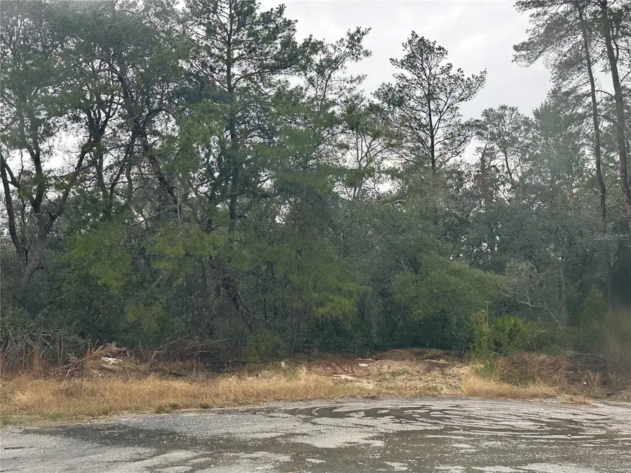 SW 35 Terrace, Ocala, FL 34473 - Image #3