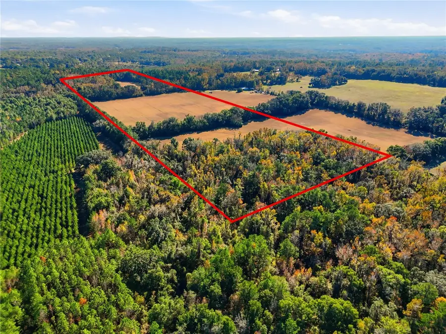 Old Bellamy Rd, High Springs, FL 32643 - Image #3