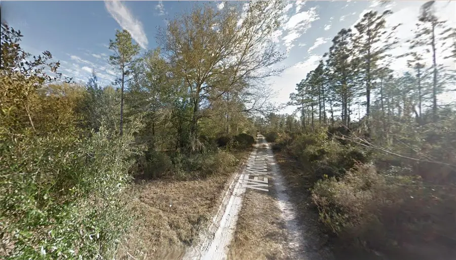 Lot 5 NE 100th Ct, Bronson, FL 32621 - Image #3