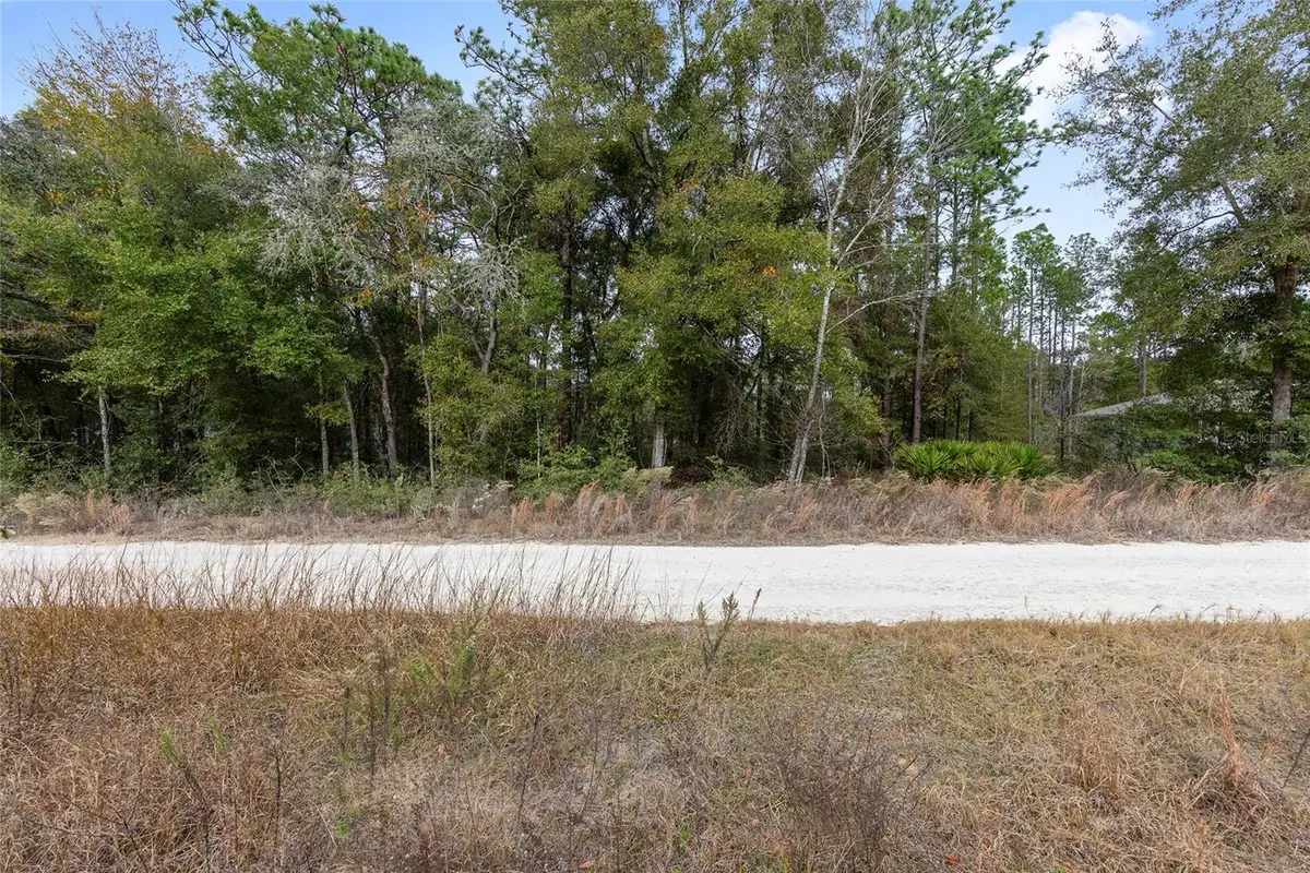 000 SW 28th Lane, Ocala, FL 34481 - Image #1