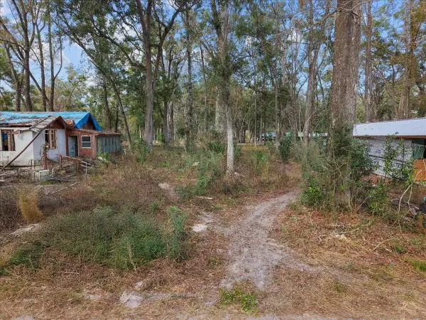 1254 NE 143rd Avenue, OLD TOWN, FL 32680