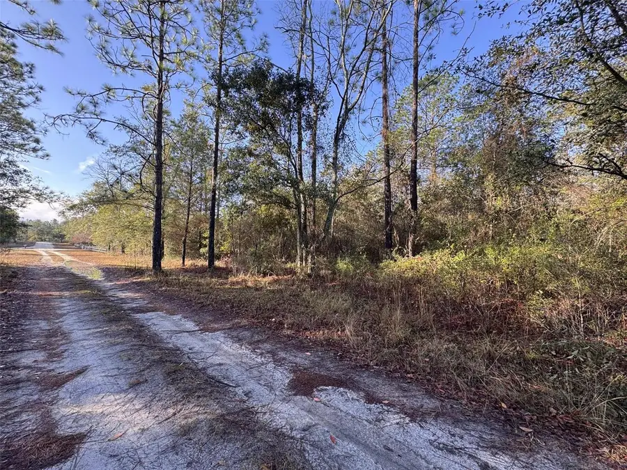 103rd Drive, Suwannee, FL 32071 - Image #3