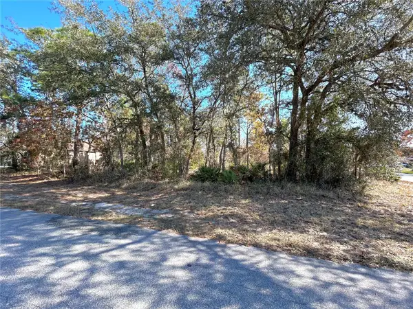 2 Dracaena Court, HOMOSASSA, FL 34446