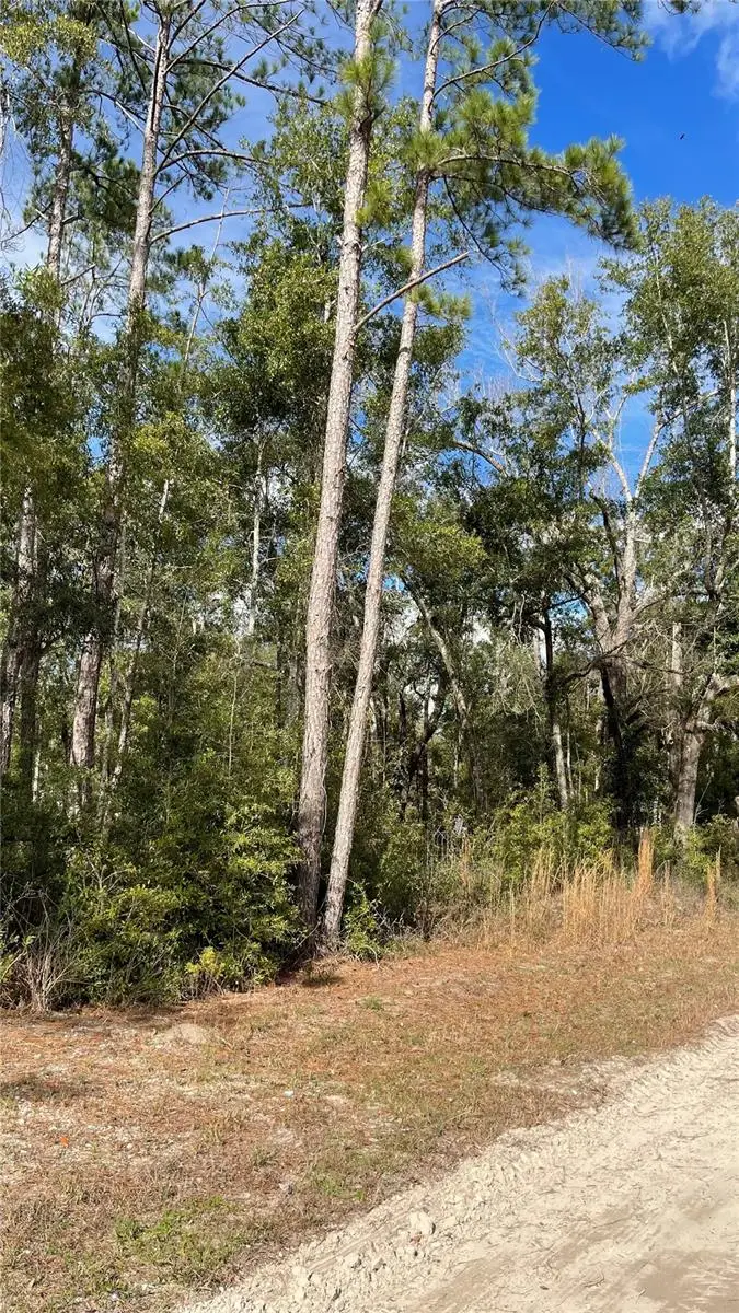 15635 97th Drive, Live Oak, FL 32060 - Image #2