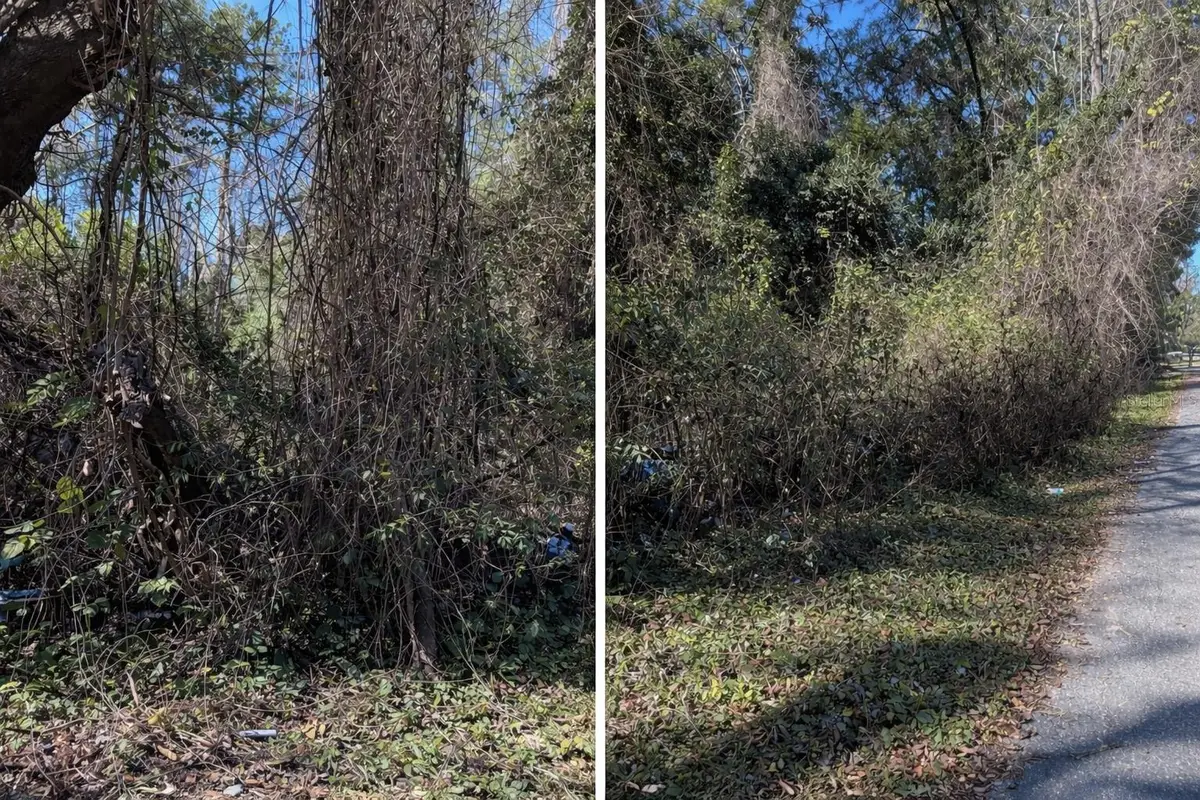 0000 Nw 134th Ter, Alachua, FL 32615 - Image #1