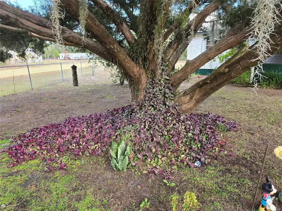 240 Kitty Avenue, Interlachen, FL 32148 - Image #3