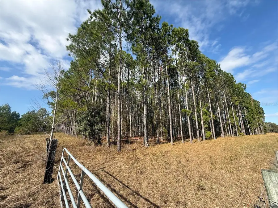 00 SW Sr 121, Lake Butler, FL 32054 - Image #3