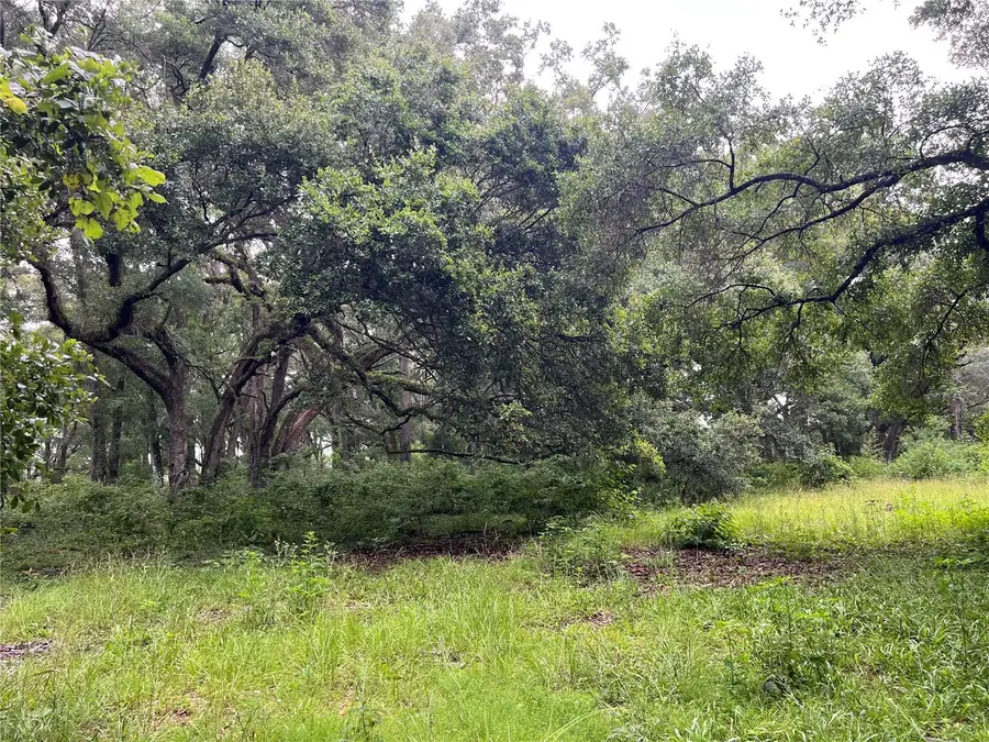 9202 NE 108th Avenue, Gainesville, FL 32609 - Image #3