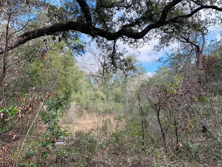 16151 NW 80th Court, Fanning Springs, FL 32693 - Image #3