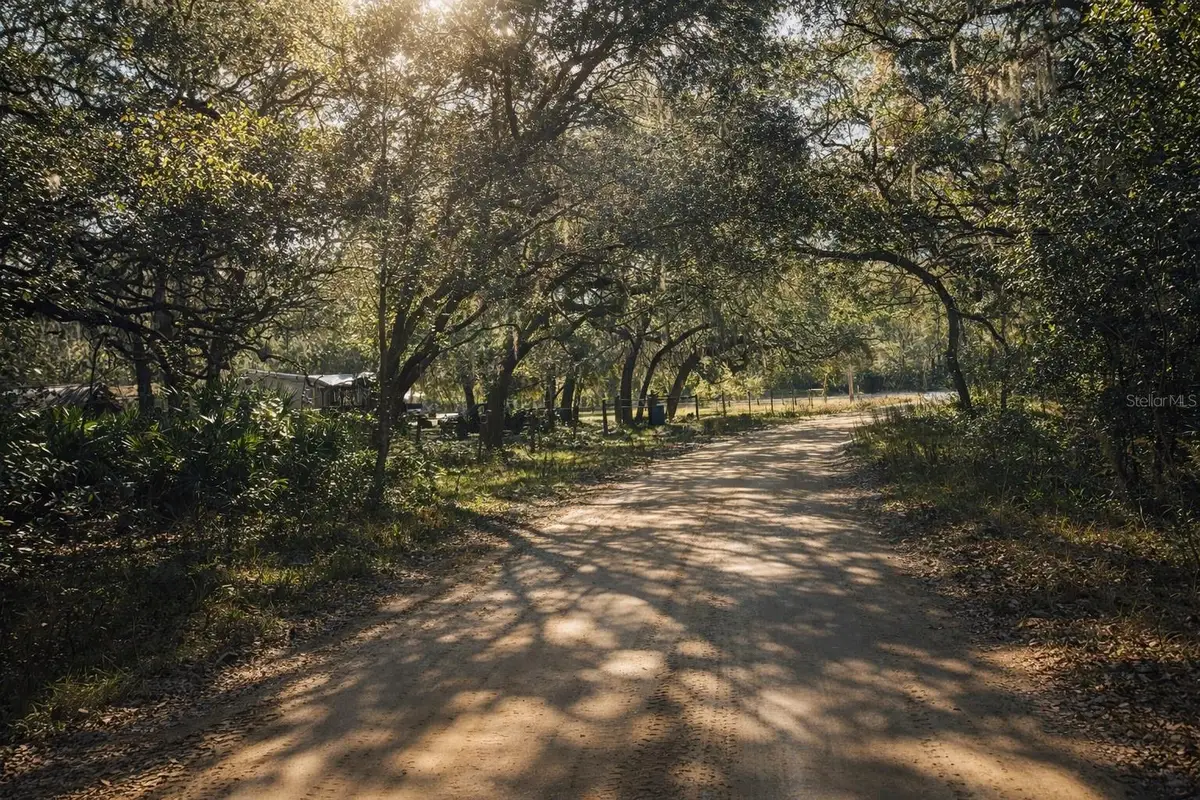 202 Mimosa Drive, Hawthorne, FL 32640 - Image #1