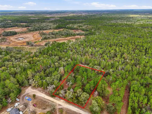 00 NE 111th Lane, BRONSON, FL 32621