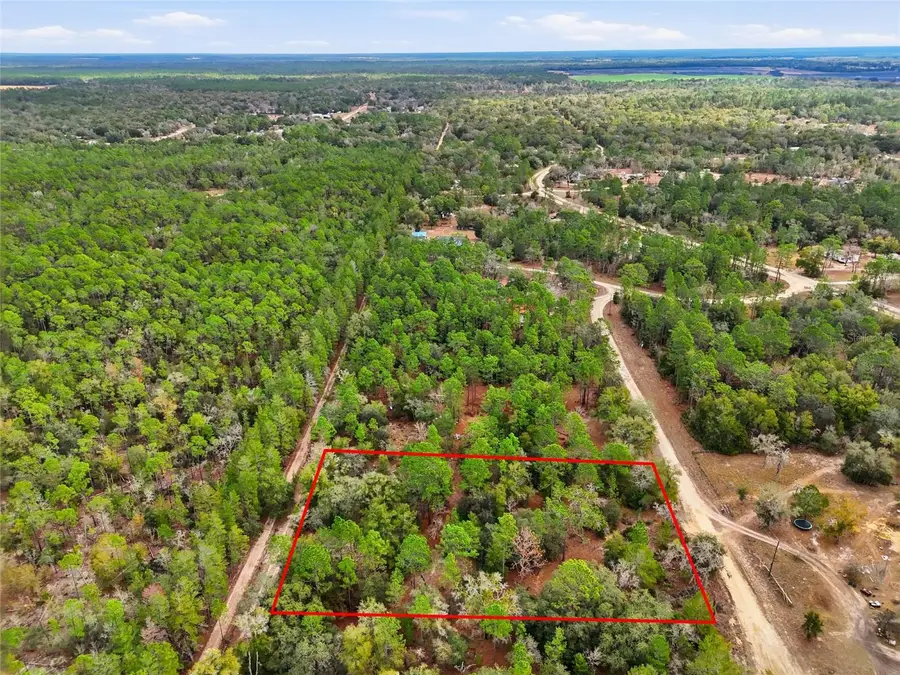 00 NE 111th Lane, Bronson, FL 32621 - Image #3