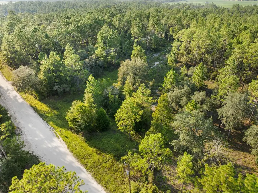 NE 00 Street, Williston, FL 32696 - Image #2