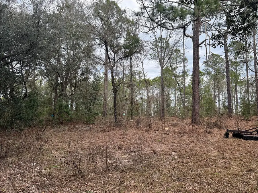 20140 NW 27th Street, Morriston, FL 32668 - #3