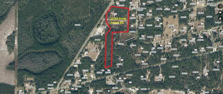 556 County Road 219, Melrose, FL 32666 - Image #2