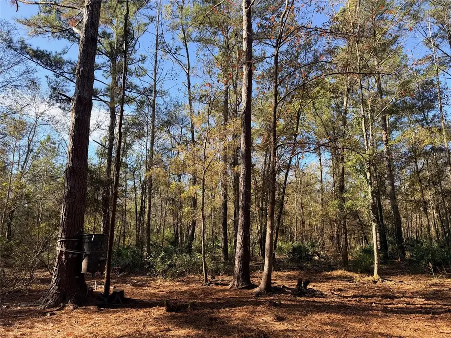 OFF NW 10 Place, Chiefland, FL 32626 - Image #3