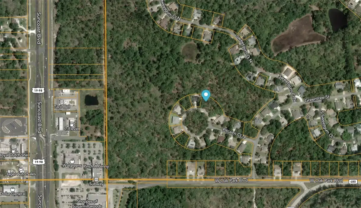 12 Pitcairn Court, Homosassa, FL 34446 - #1